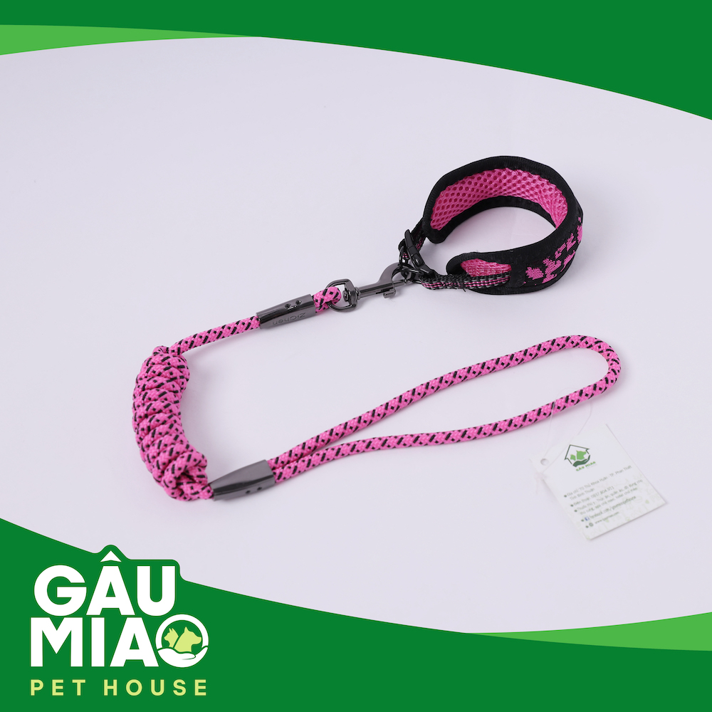 Bộ vòng cổ bản lớn+dây dắt Zichen ZC1751 s.S