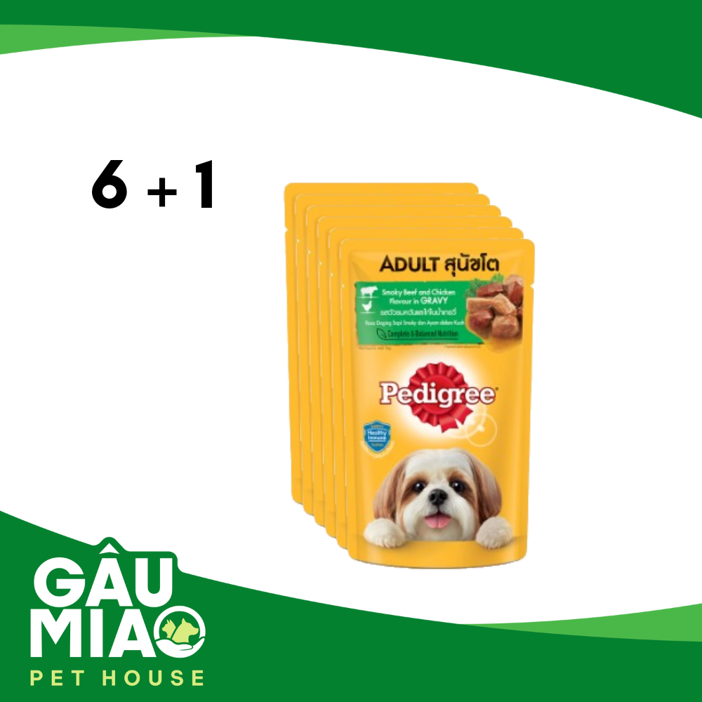 COMBO(6+1) Pedigree sốt cho chó trưởng thành