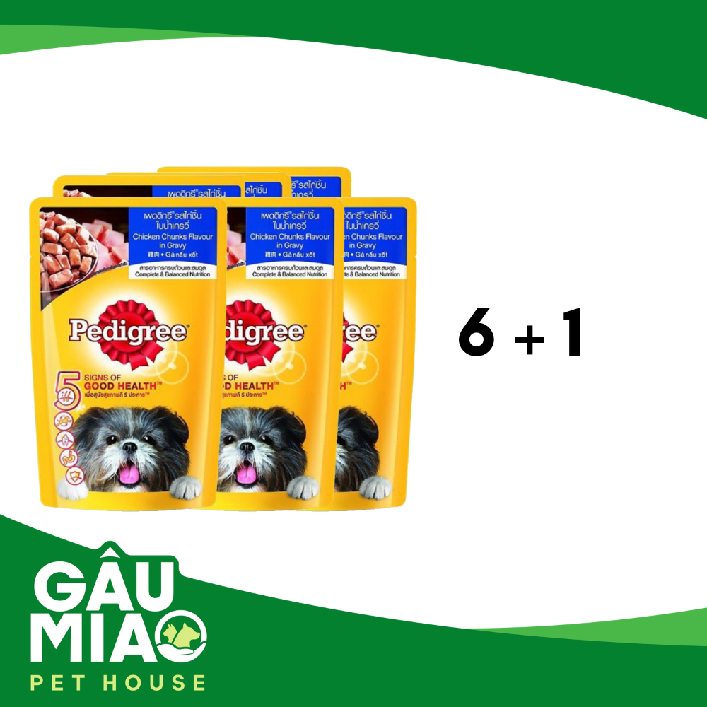 COMBO(6+1) Pedigree sốt cho chó trưởng thành