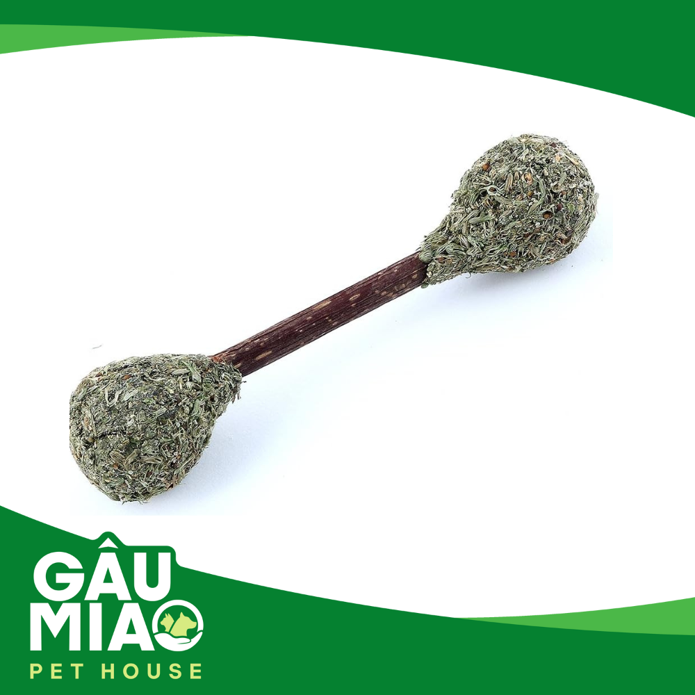 Đồ chơi Catnip cho mèo phê pha