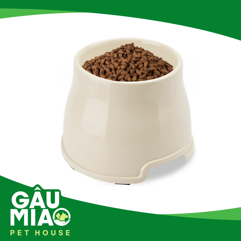 Tô tròn chống gù lưng