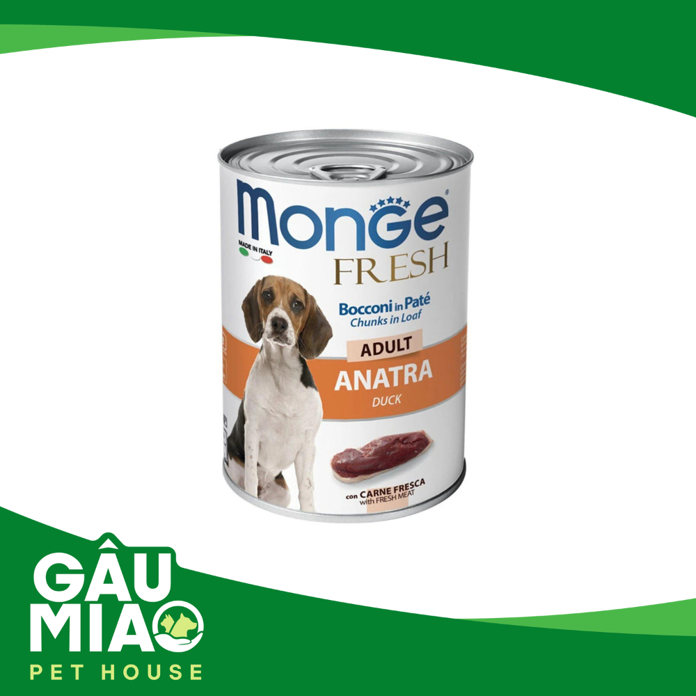Monge Fresh Pate cho chó trưởng thành 400g