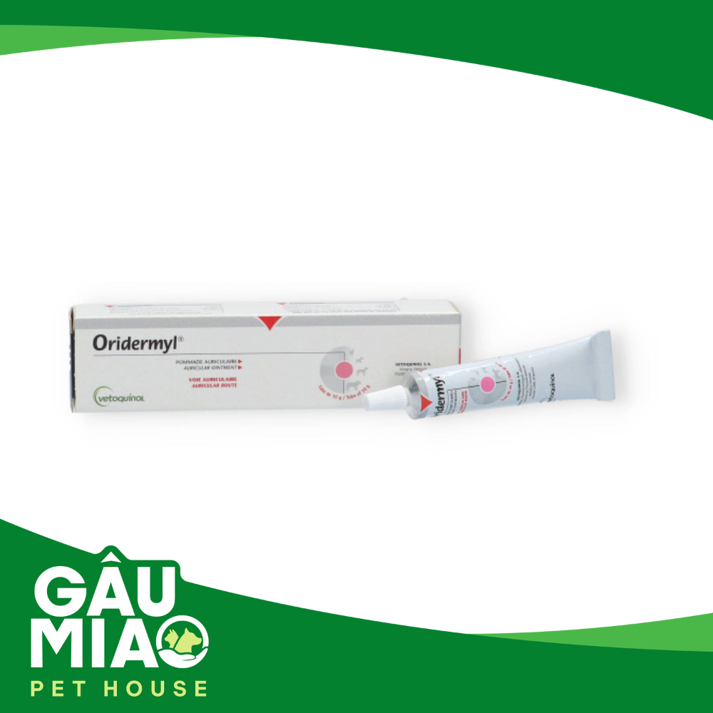 Trị rận tai Oridermyl 10gr