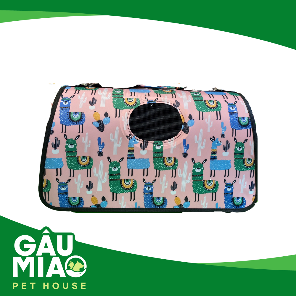 Túi xách vòm in hình