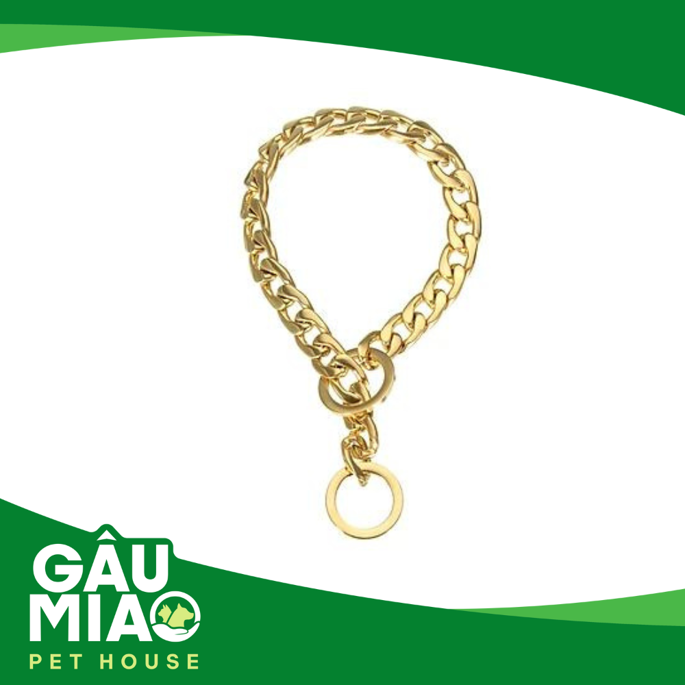 Vòng cổ cho chó-Thép Titan mạ vàng 304