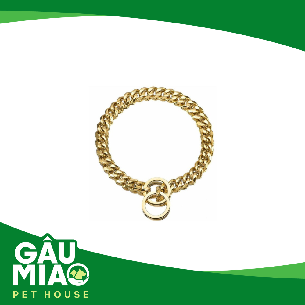 Vòng cổ cho chó-Thép Titan mạ vàng 304