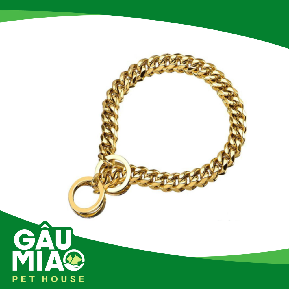 Vòng cổ cho chó-Thép Titan mạ vàng 304