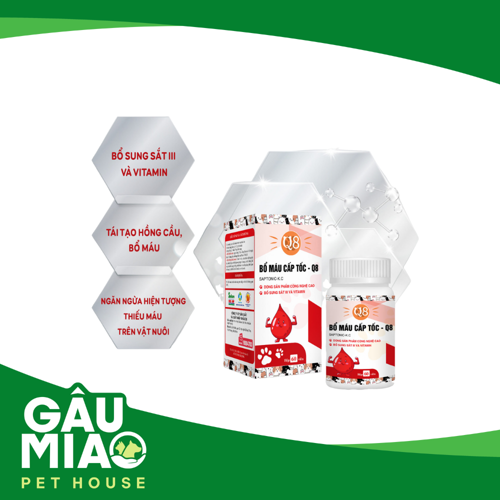 Q8 - Bổ máu cấp tốc - 1 viên