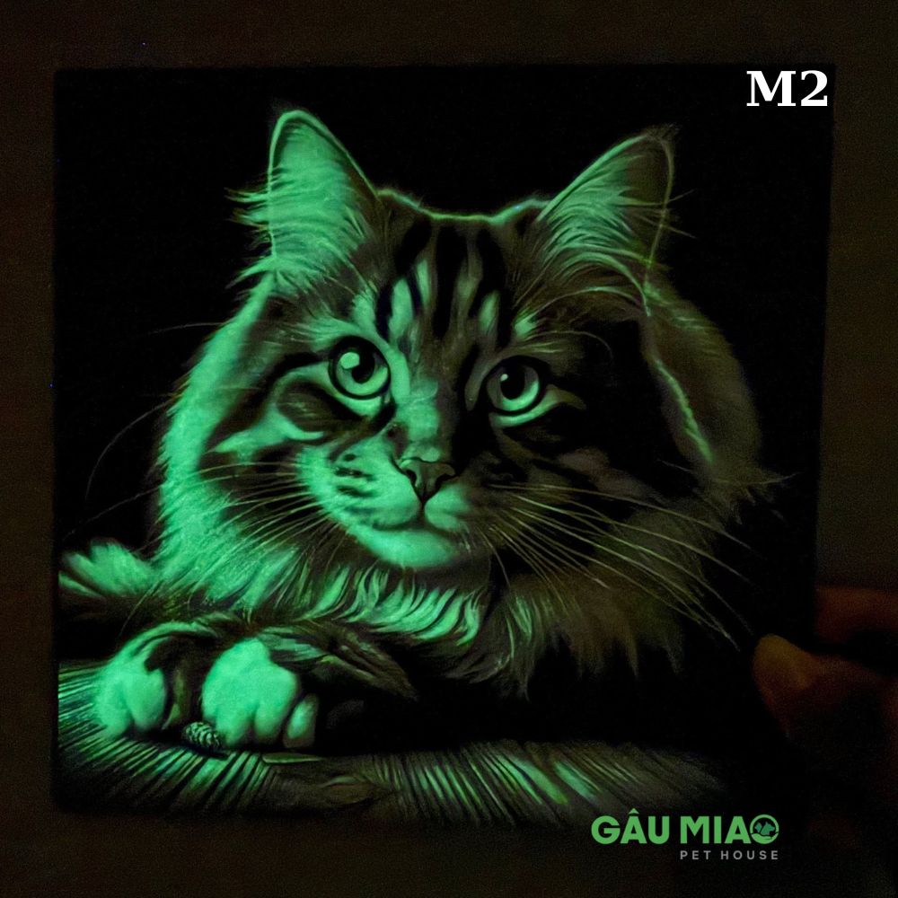 Tranh dạ quang in 3D