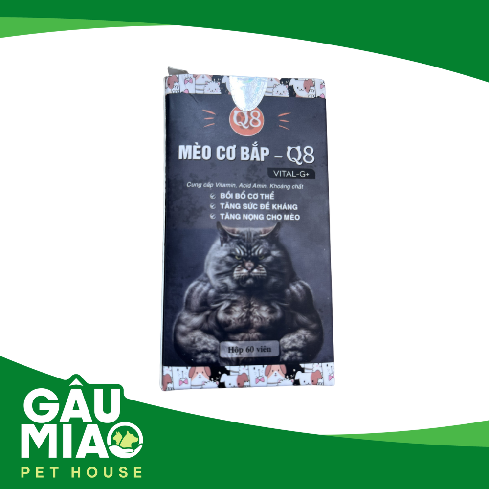 Q8 - Thực phẩm bổ sung mèo cơ bắp - 1 Viên