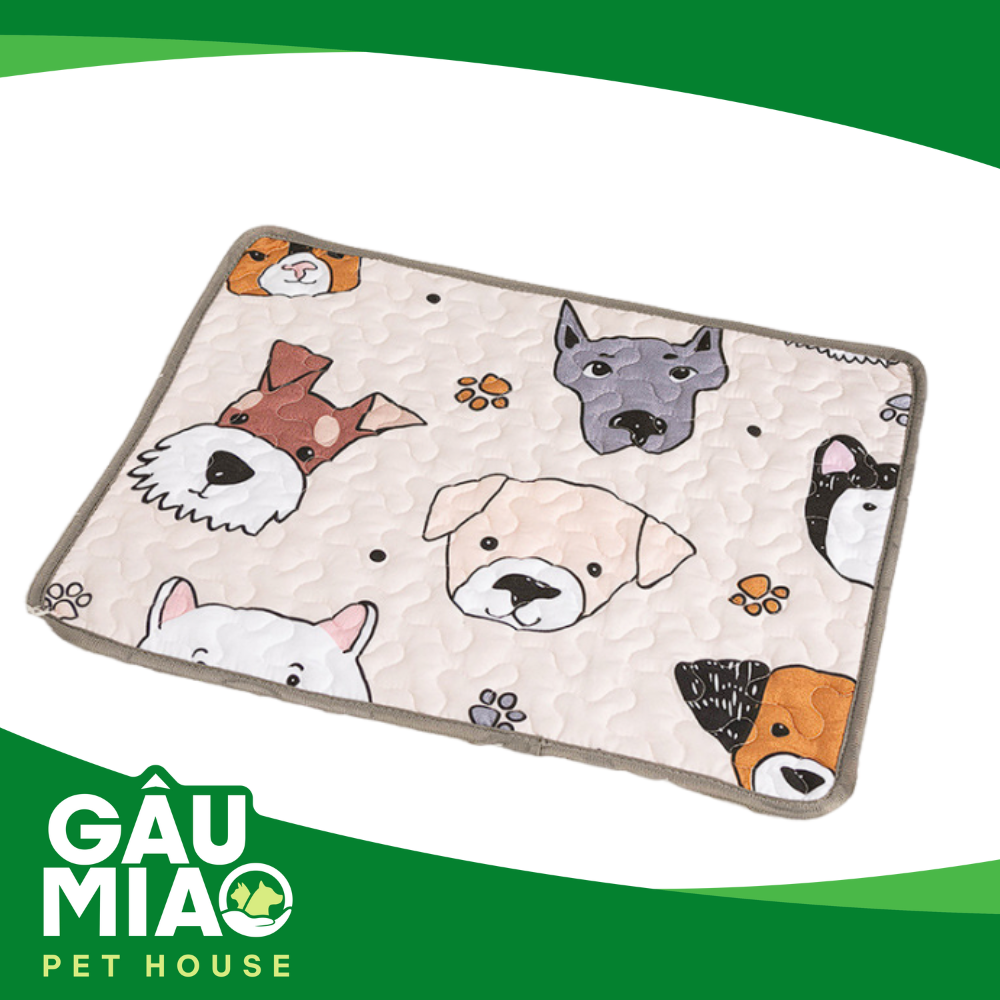 Thảm nằm 4 mùa họa tiết dễ thương