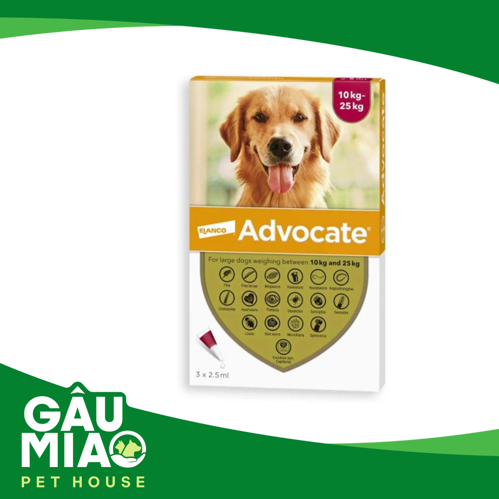 Nhỏ gáy Advocate cho chó trị nội ngoại ký sinh trùng 10kg - 25kg