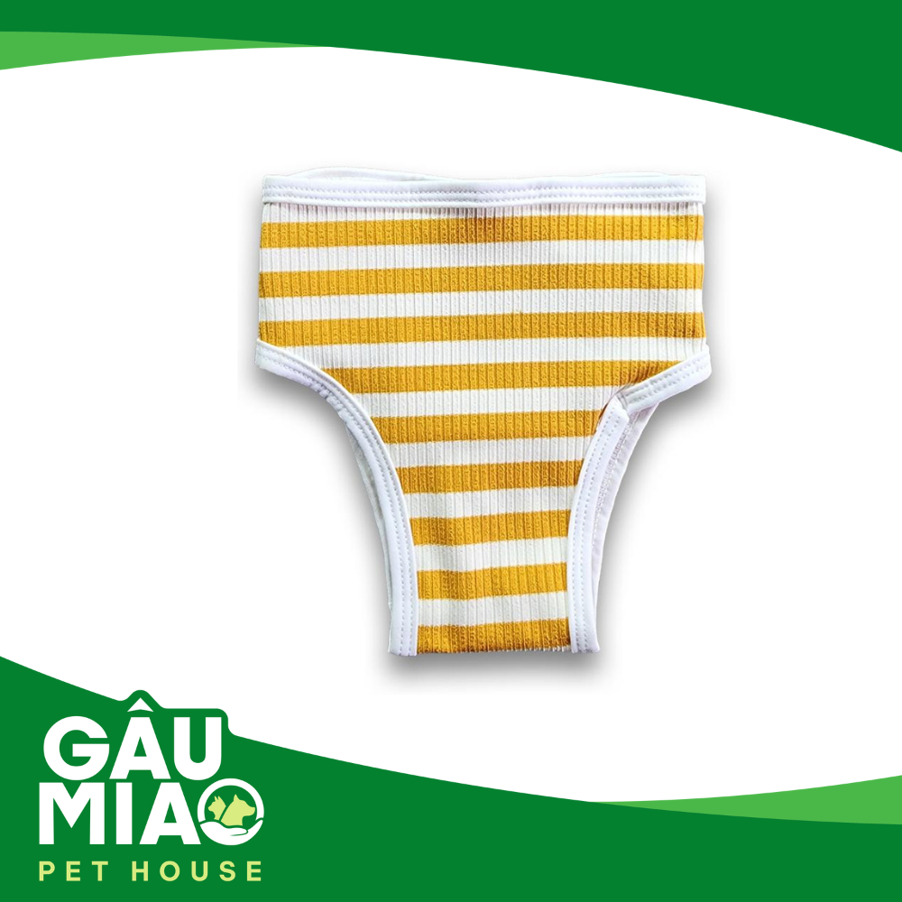 Quần chip cho chó cái