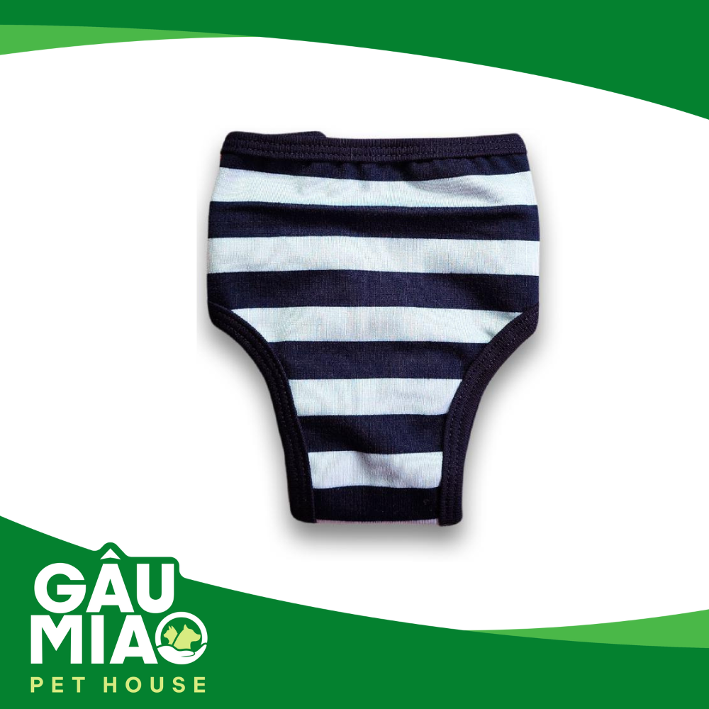Quần chip cho chó cái