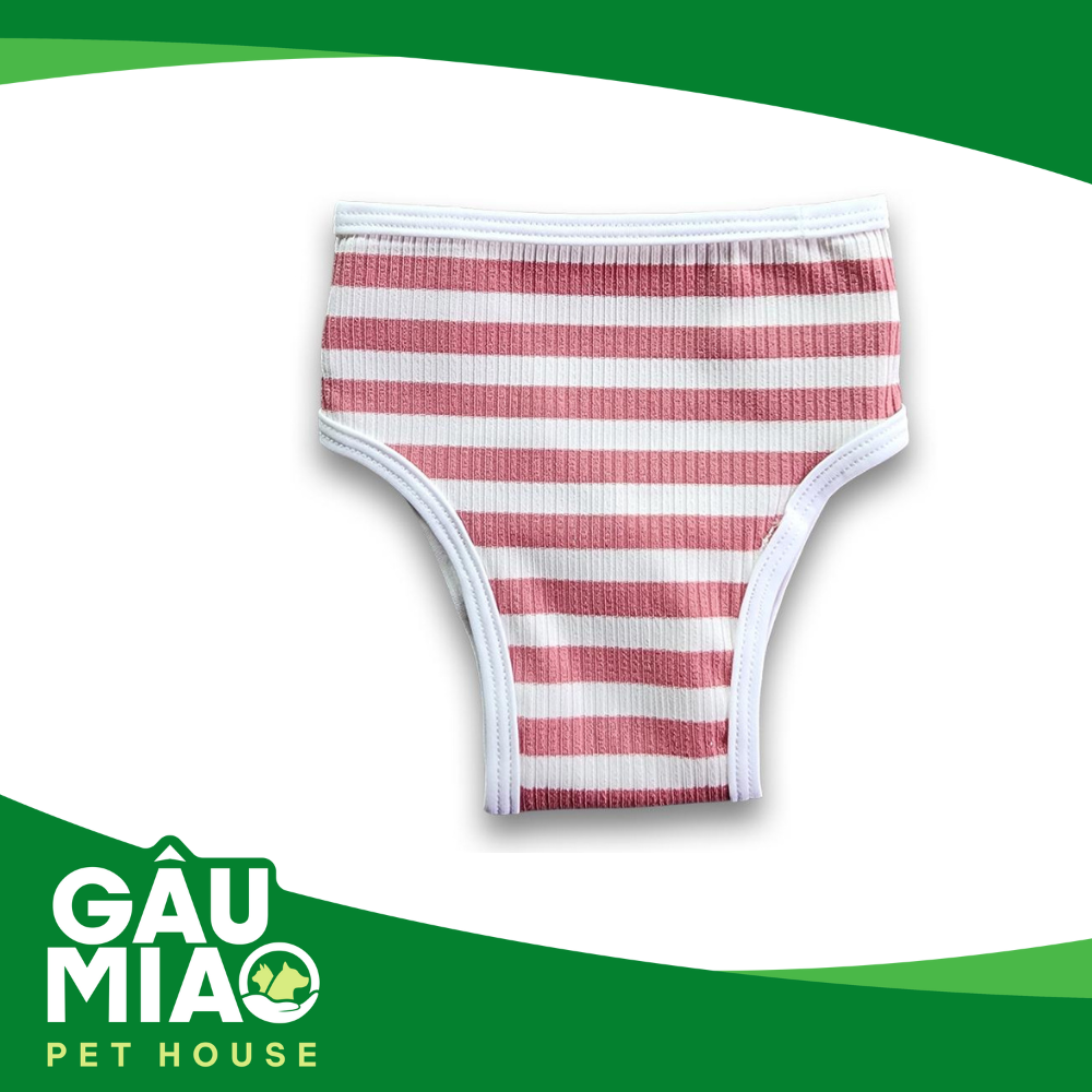 Quần chip cho chó cái