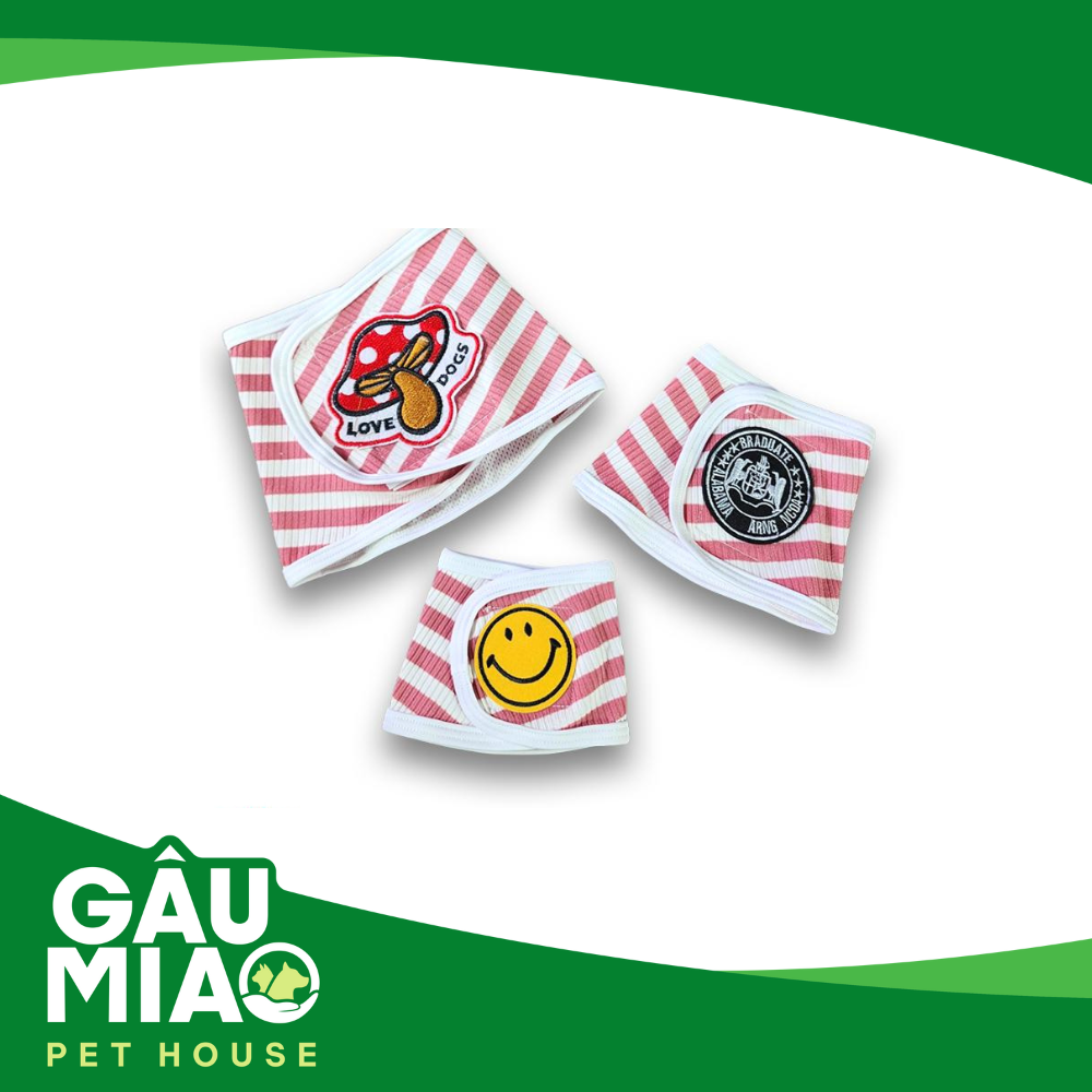 Quần chip cho chó đực