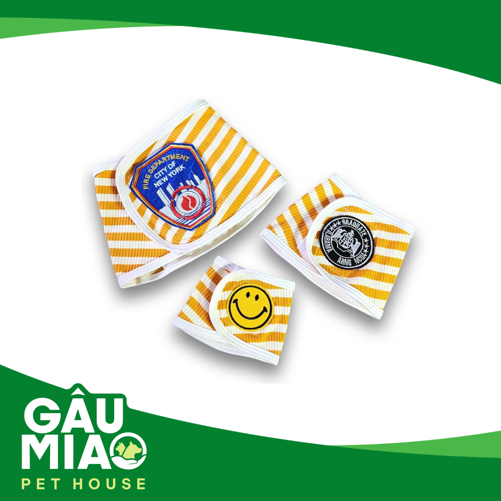 Quần chip cho chó đực