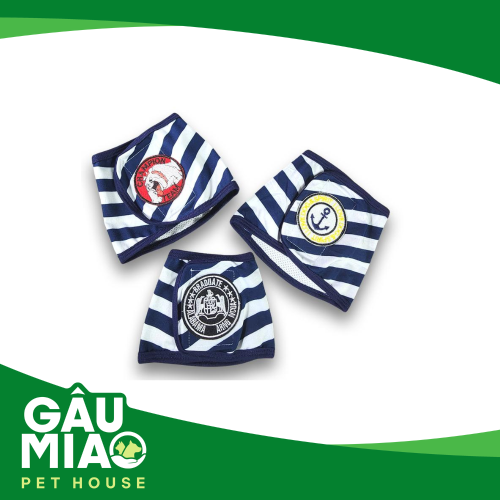 Quần chip cho chó đực