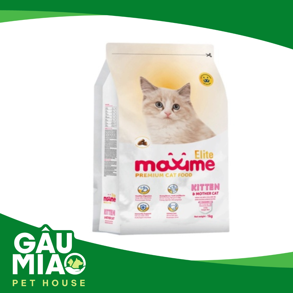 Maxime Elite Kitten & Mother 1kg - Thức ăn hạt cho mèo con và mèo mẹ