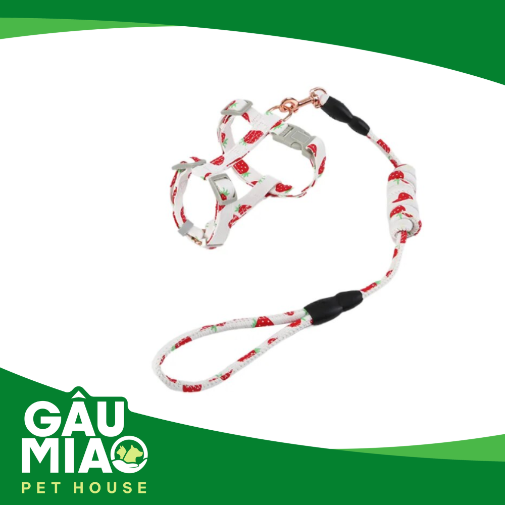 Bộ dây+yếm cute