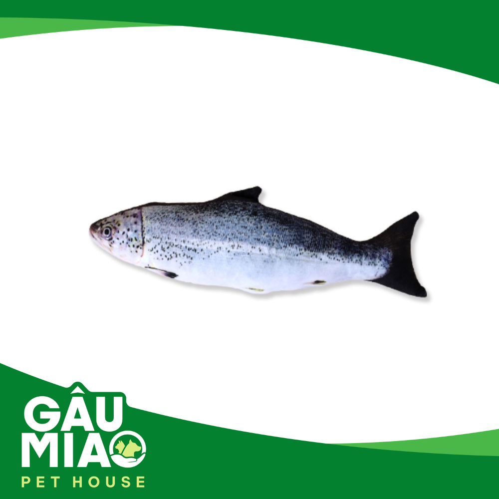 Đồ chơi gấu bông hình con cá