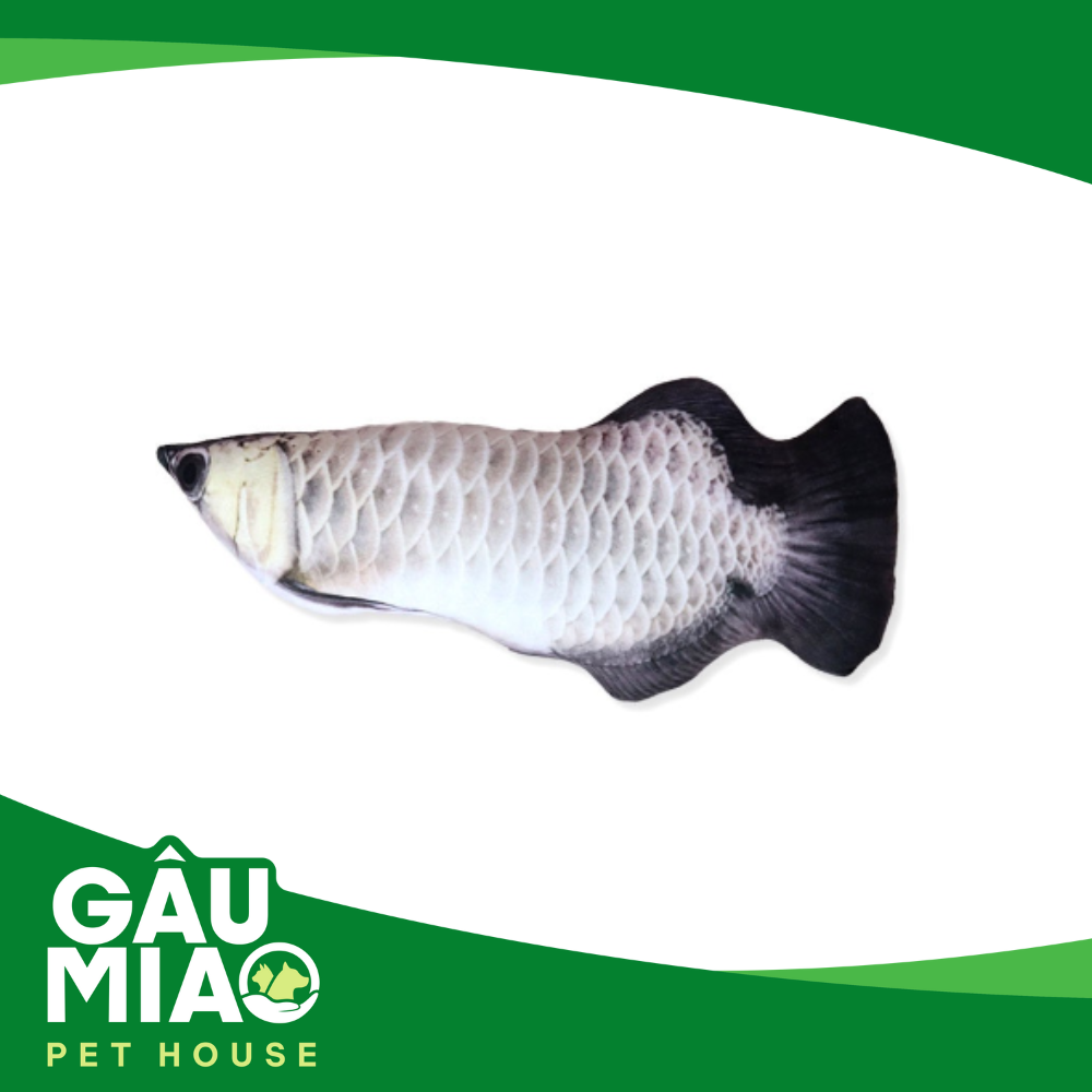 Đồ chơi gấu bông hình con cá