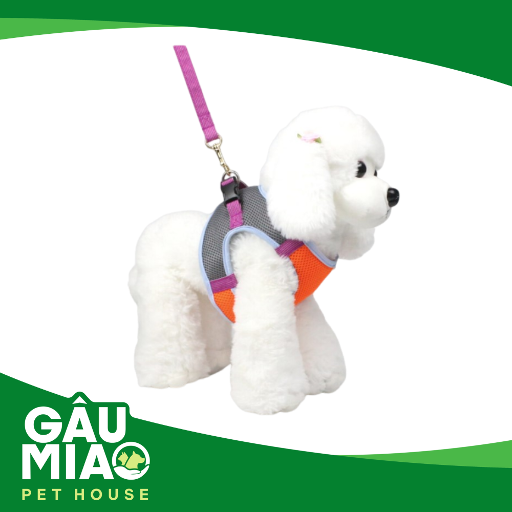 Bộ đai yếm lưới thoáng khí