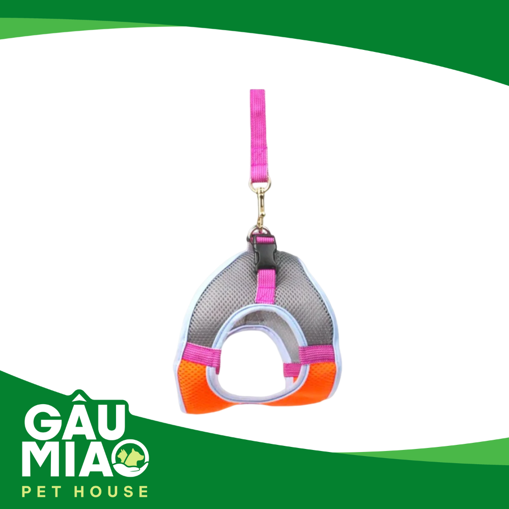 Bộ đai yếm lưới thoáng khí