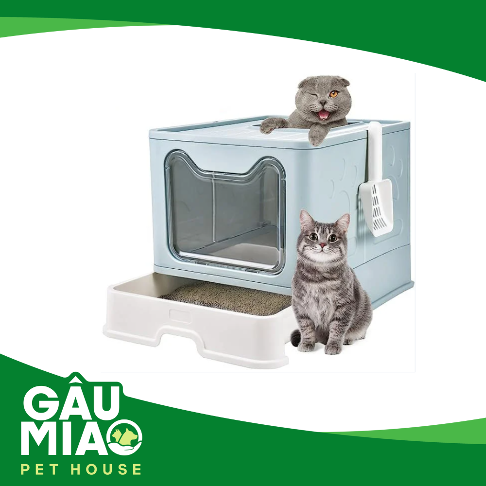Nhà vệ sinh mèo hộp có thể gấp gọn