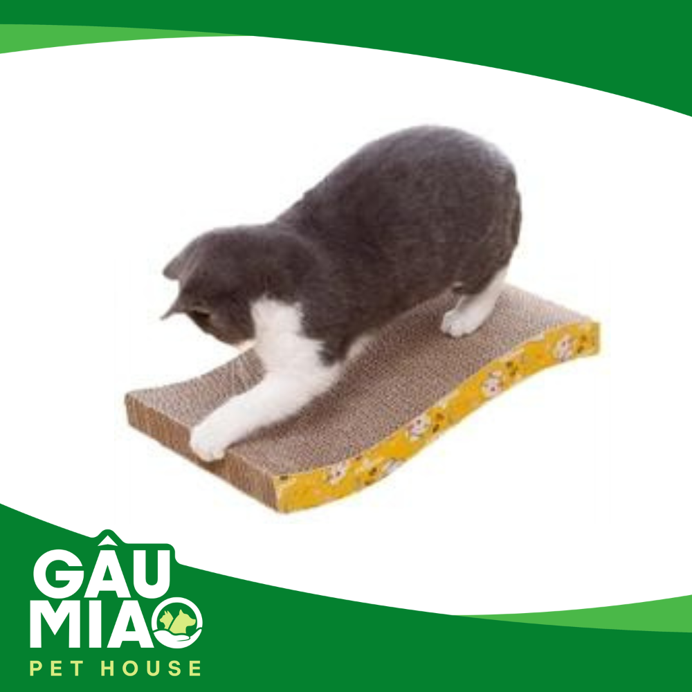 Bàn cào sóng 2 mặt