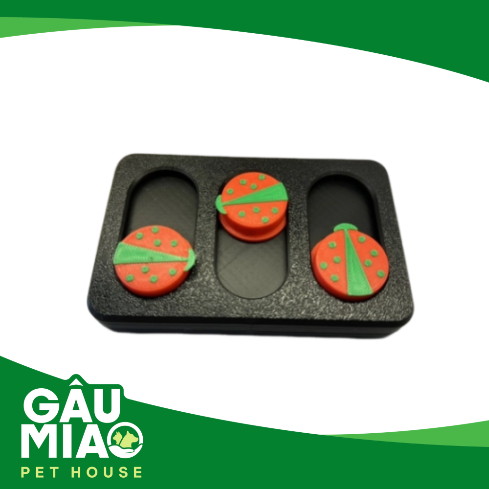 Đồ chơi tìm thức ăn con bọ