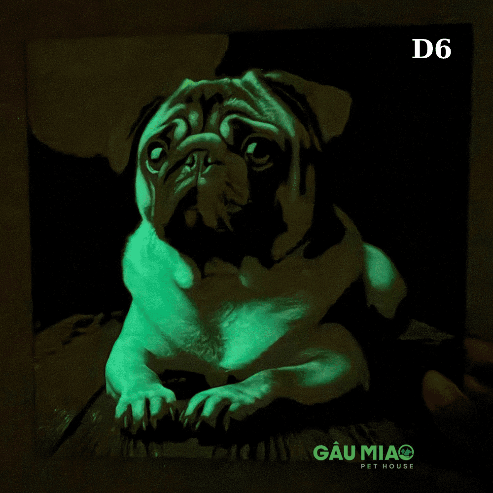 Tranh dạ quang in 3D