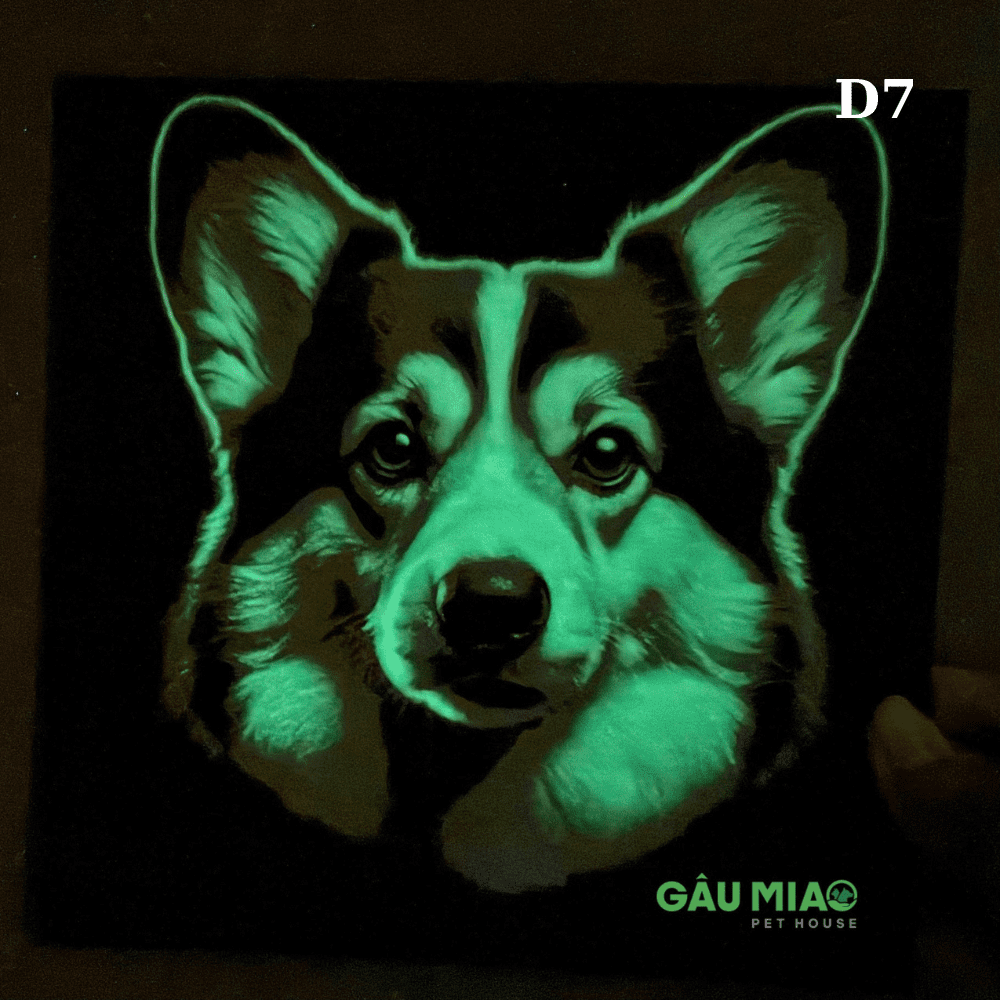 Tranh dạ quang in 3D