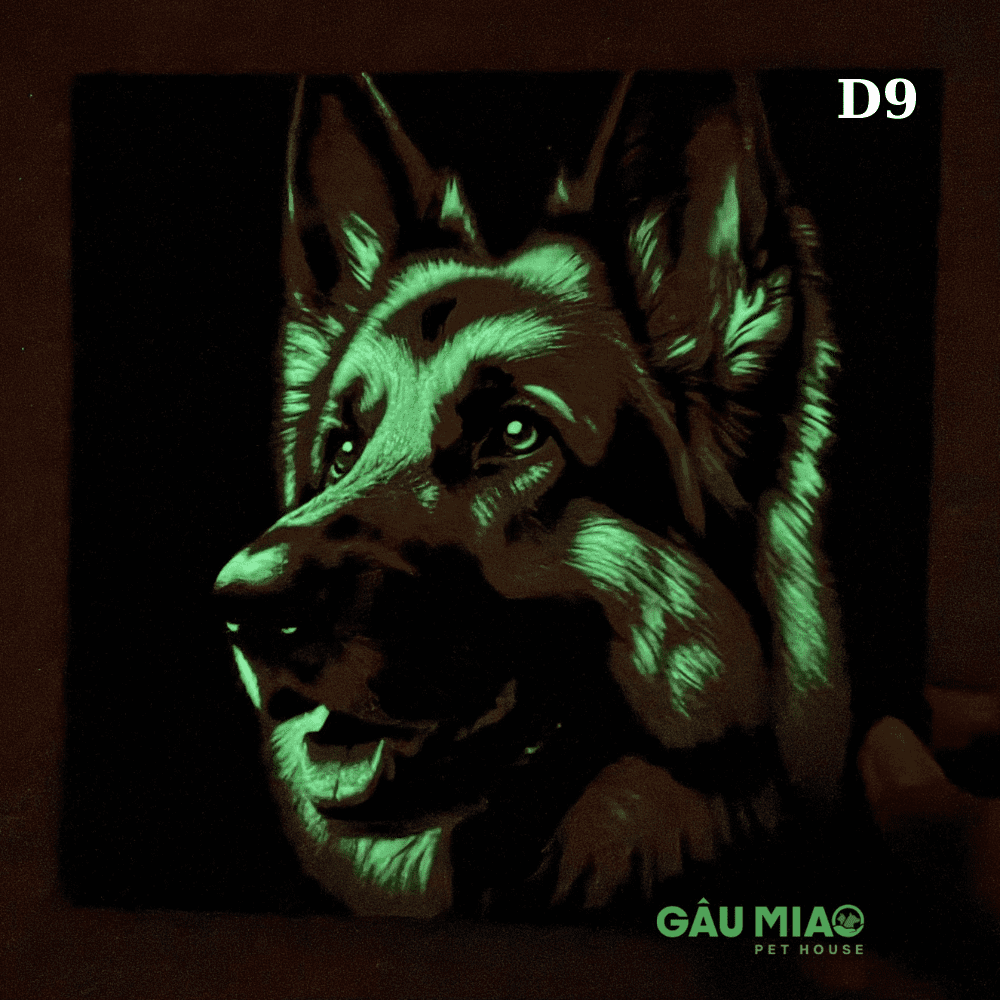 Tranh dạ quang in 3D