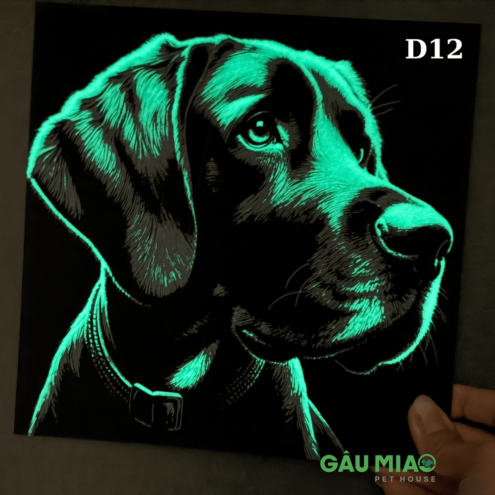 Tranh dạ quang in 3D