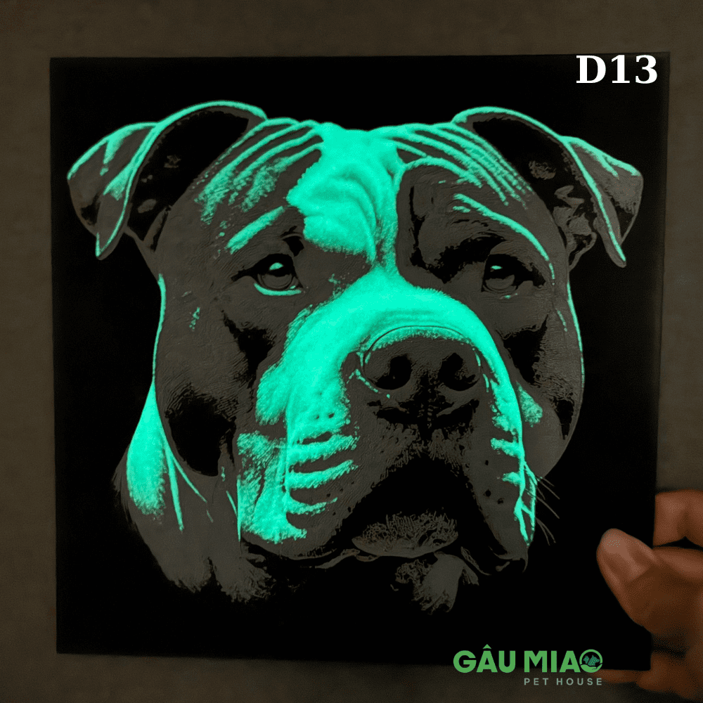 Tranh dạ quang in 3D