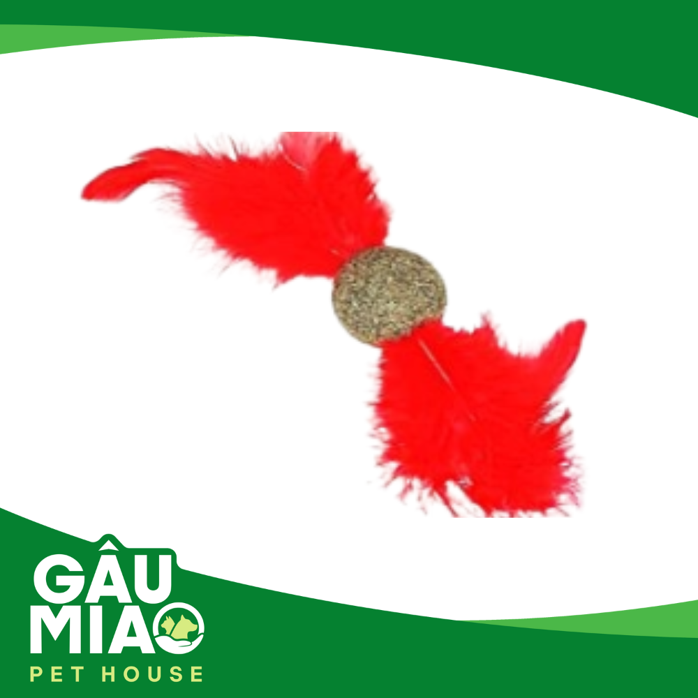 Đồ chơi Catnip cho mèo phê pha