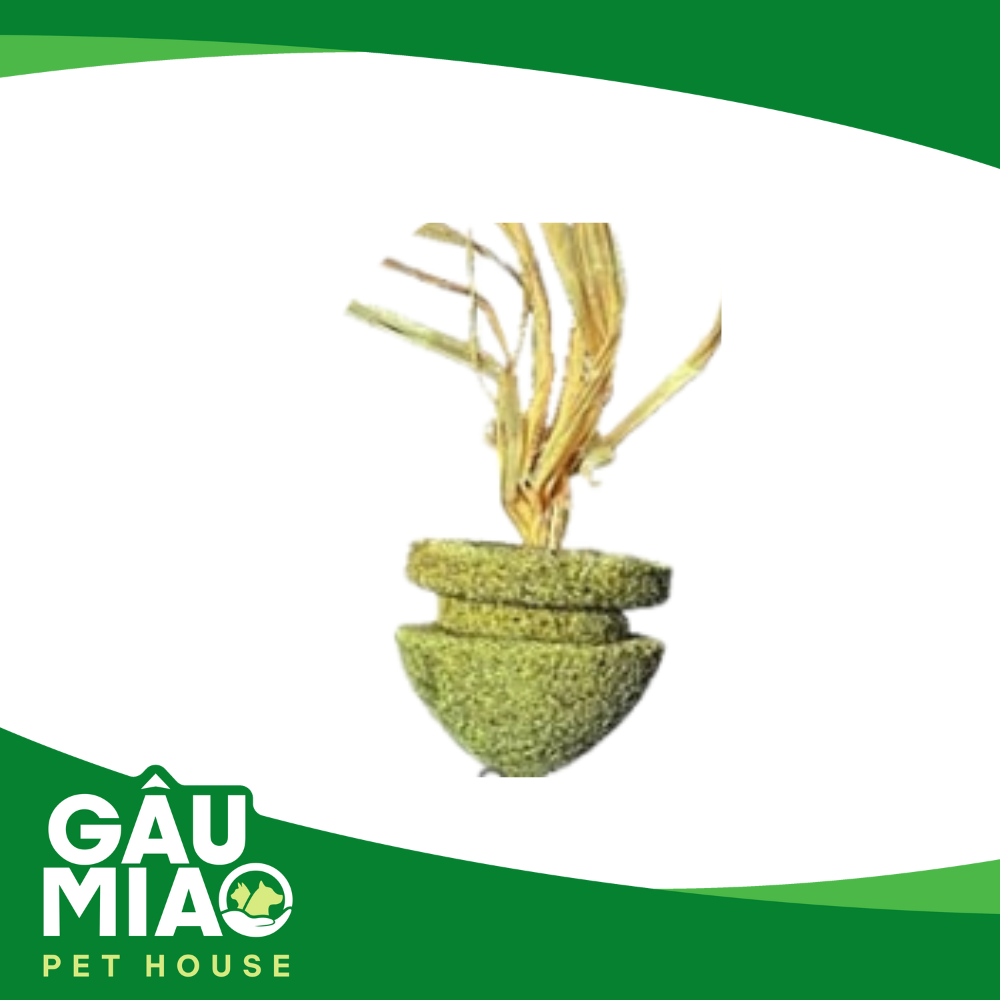 Đồ chơi Catnip cho mèo phê pha