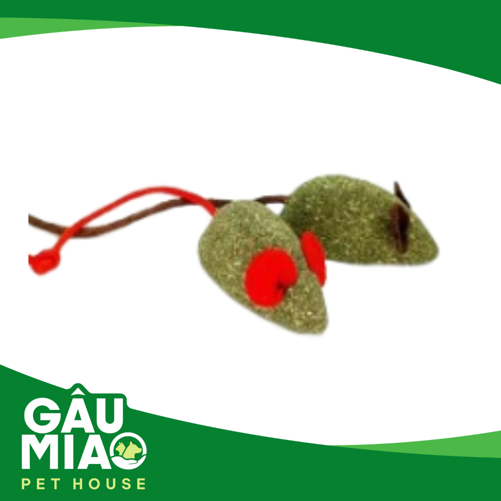Đồ chơi Catnip cho mèo phê pha
