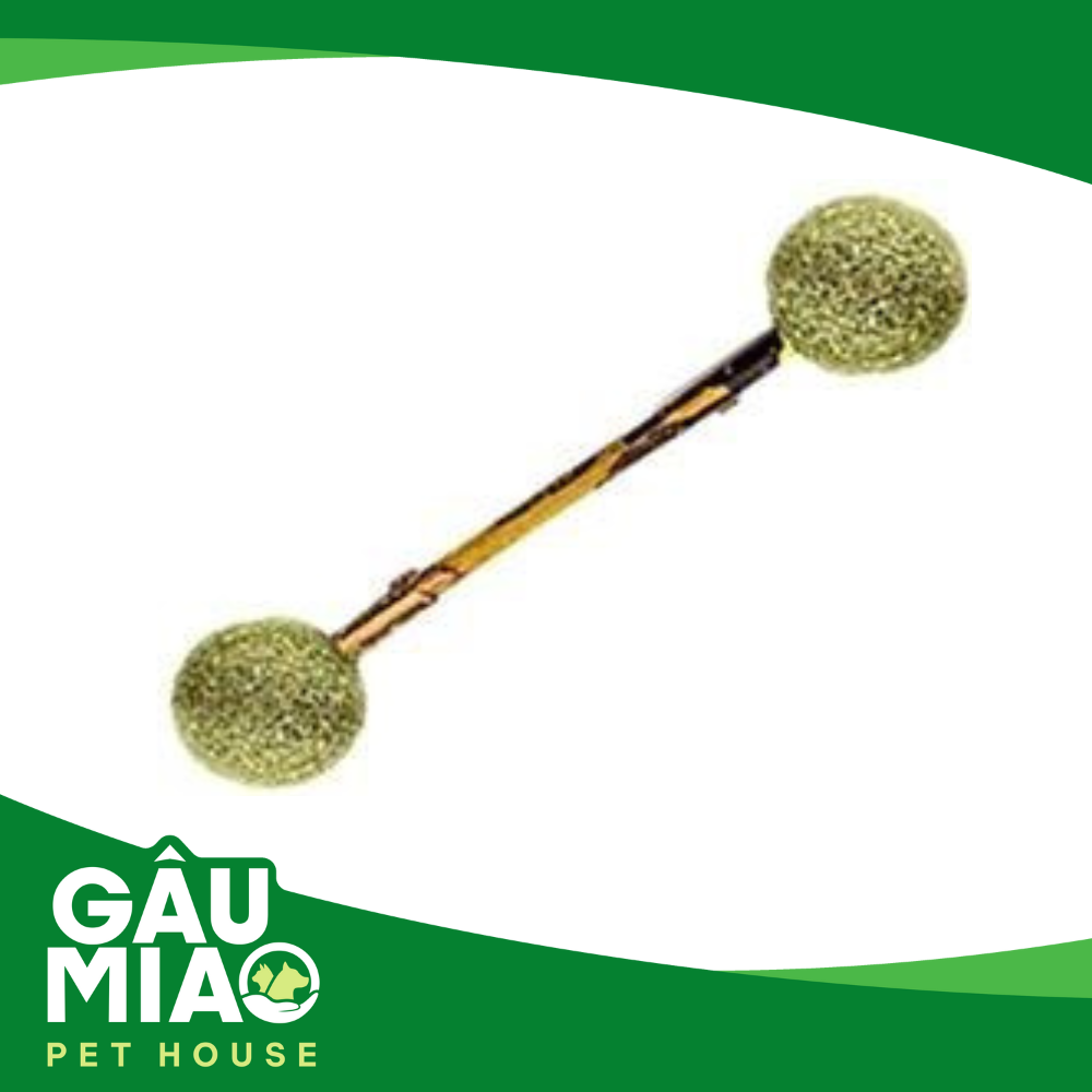 Đồ chơi Catnip cho mèo phê pha