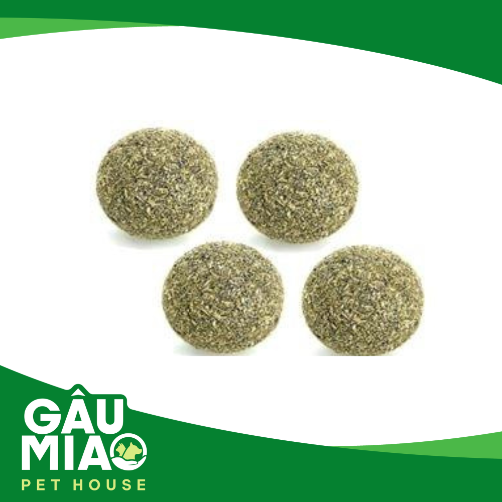 Đồ chơi Catnip cho mèo phê pha
