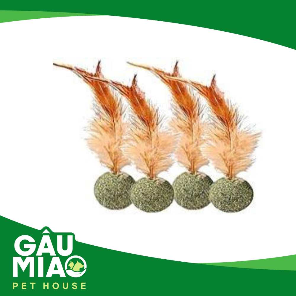 Đồ chơi Catnip cho mèo phê pha