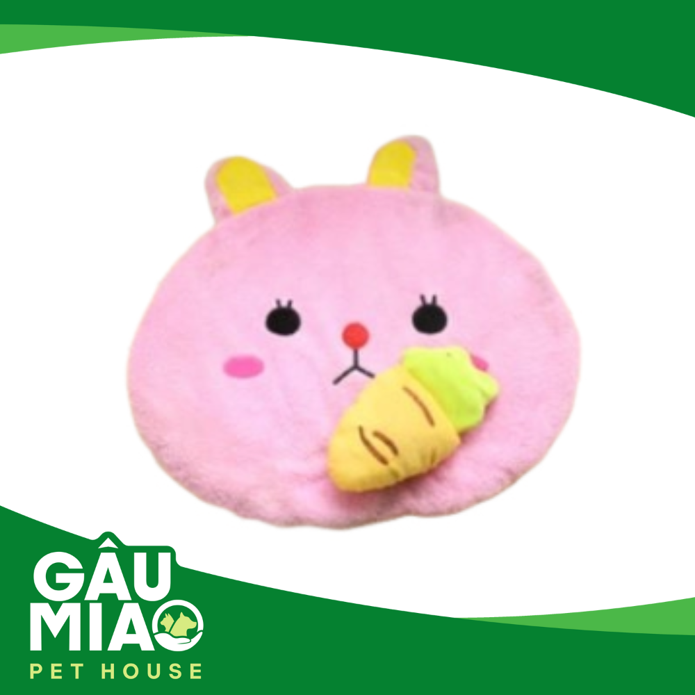 Nệm thỏ hoạt hình 2001WD31