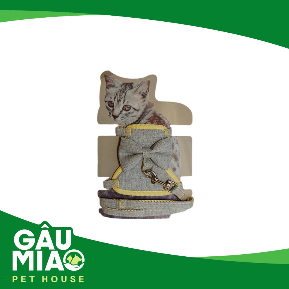 Yếm đầm nơ + dây dắt ( QY-132) - 1cm