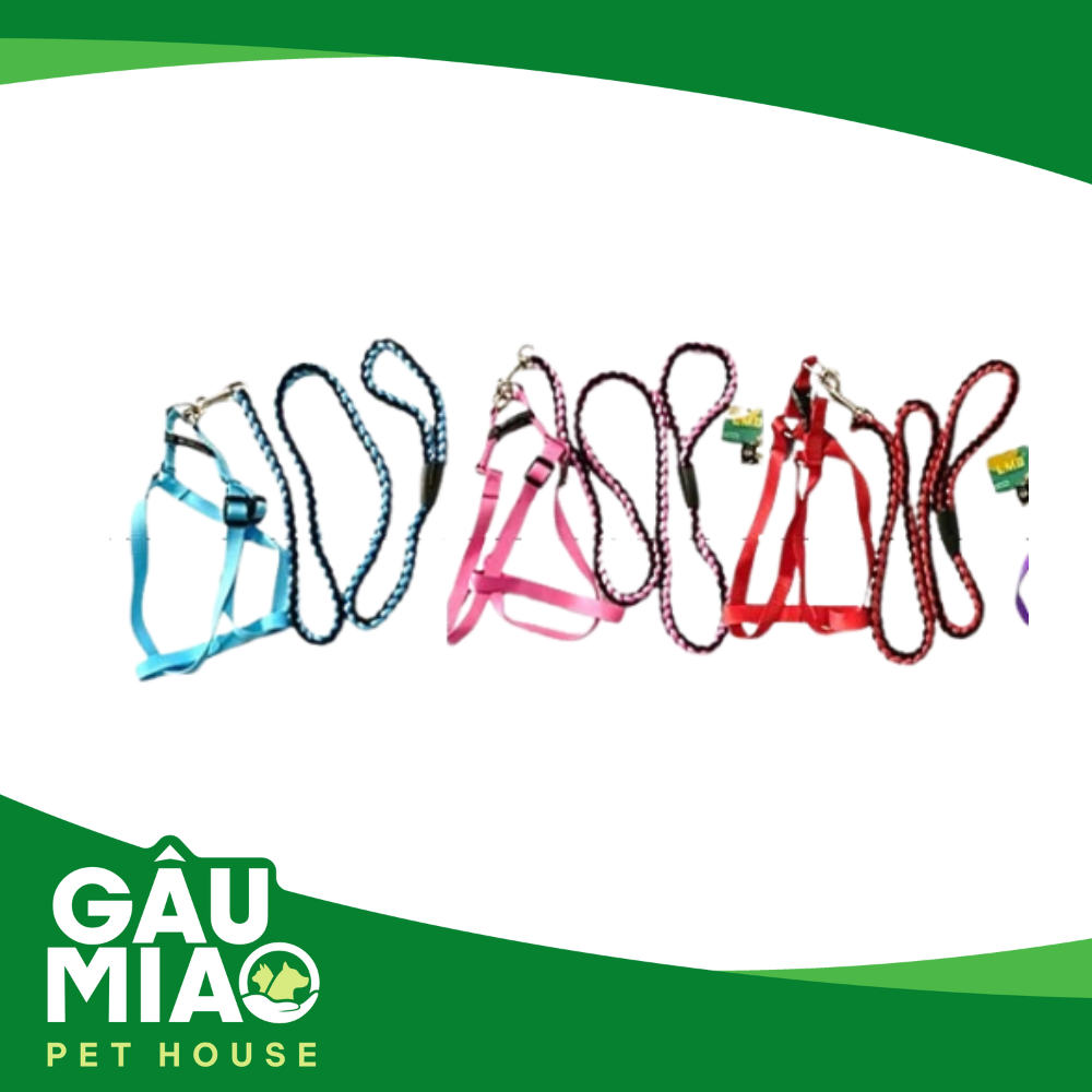 Yếm + dây dắt màu sắc