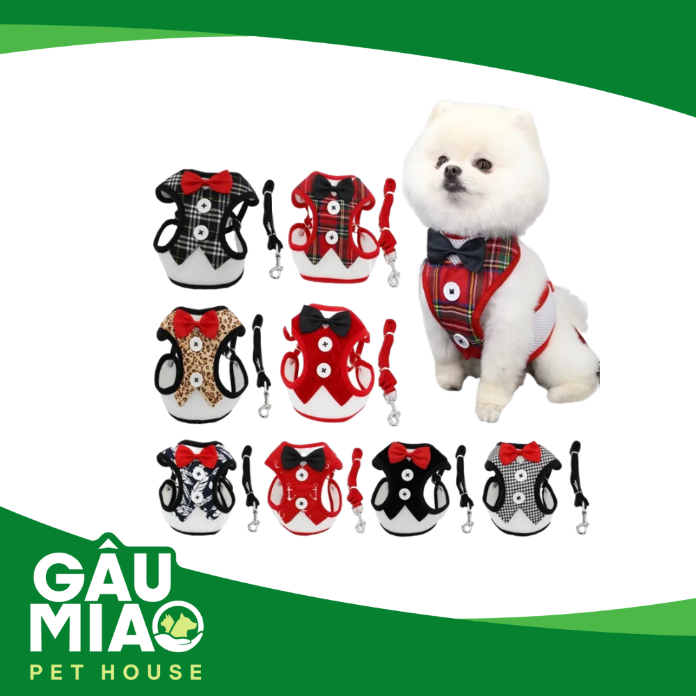 Yếm Vest + dây dắt