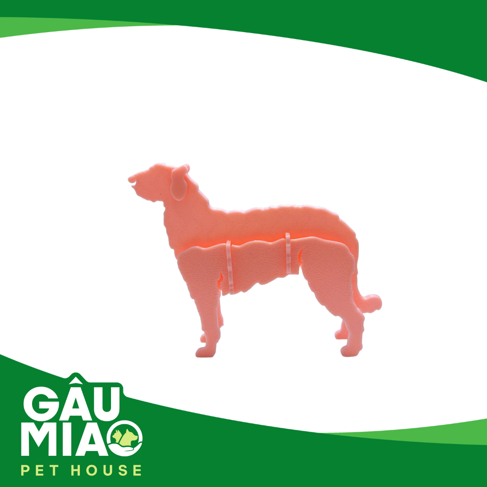 Kit card lắp ghép mô hình chó
