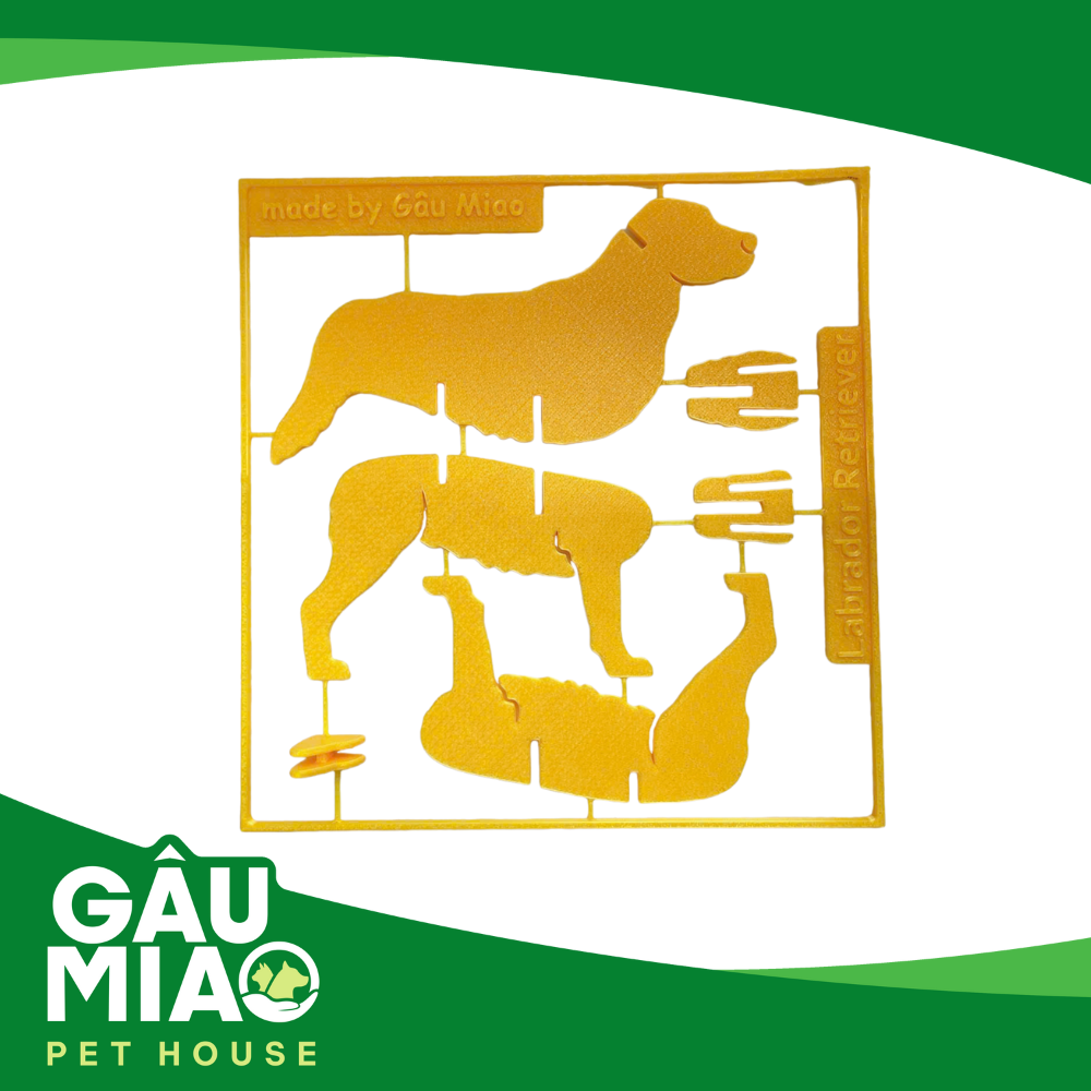 Kit card lắp ghép mô hình chó