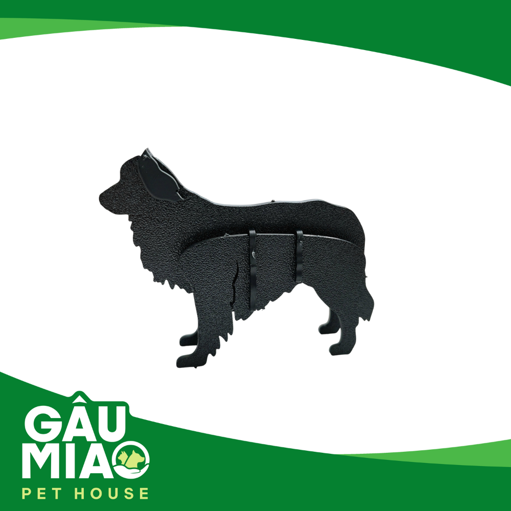 Kit card lắp ghép mô hình chó