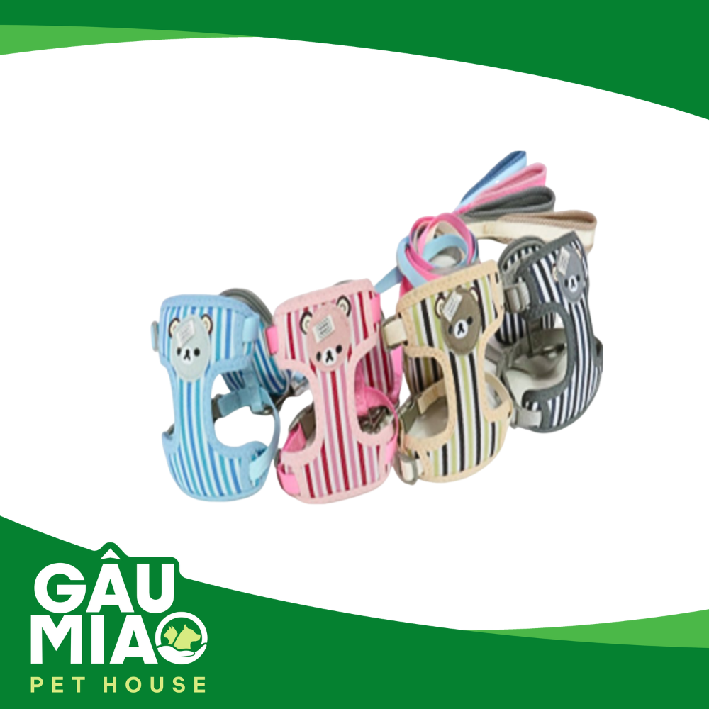 Bộ dây dắt + yếm hình gấu+ balo